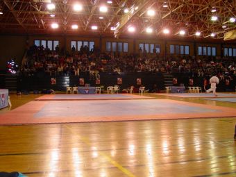 Підлогове покриття Pavigym TATAMI. 20 мм