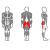 trenazher_dlya_yagodichnykh_myshts_(radial'nyy)_x-line_interatletika_xr131_1