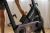 NTEX24125-INT-6 NTEX24125-INT-6