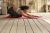RAYG-11022RD-5 RAYG-11022RD-5