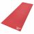 RAYG-11022RD-2 RAYG-11022RD-2