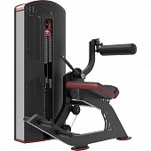 Разгибатель спины X Power XP135 - купить в Киеве и Украине