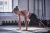 ADMT-11014RD-5 ADMT-11014RD-5