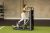ABS1011-5 ABS1011-5